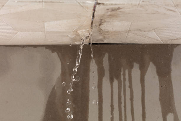 Professional Flood Damage Cleanup technician working in Evensville, TN